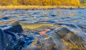 24950 Hwy. 93, Challis, ID 83226