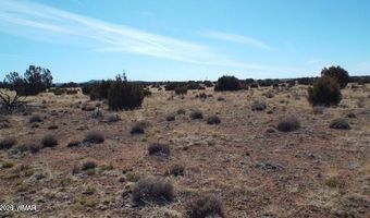Parcel 107-52-046, Concho, AZ 85924