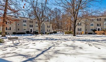 706 S ARLINGTON MILL Dr 18302, Arlington, VA 22204