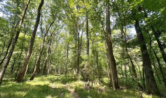 2 Champion Hill Rd, Bolton, MS 39041