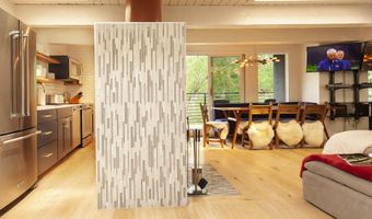 1039 E Cooper Ave 16A, Aspen, CO 81611