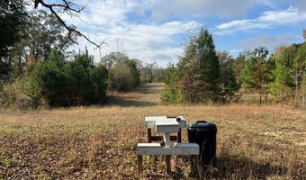 13962 Alabama Highway 95 N, Abbeville, AL 36310