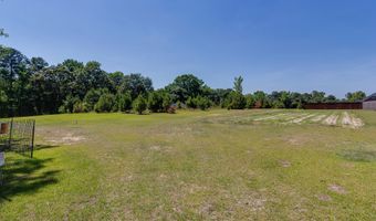 890 Wiggins Rd, Angier, NC 27501