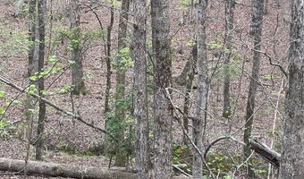 2390 Baron Dekalb Rd, Camden, SC 29020