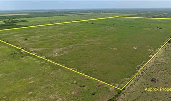 FM 1352, Alice, TX 78332