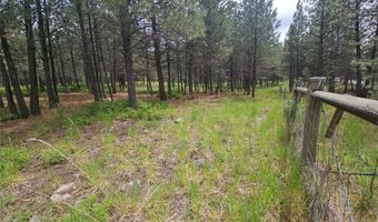 23355 Sunbilla Dr, Arlee, MT 59821