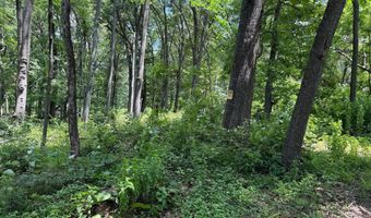 81 82 CABIN Rd, Augusta, WV 26704