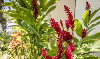 2653 S Kihei Rd 213, Kihei, HI 96753
