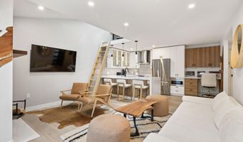 910 W Hallam St 9, Aspen, CO 81611