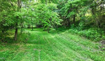 Middle Creek Road, Afton, TN 37616