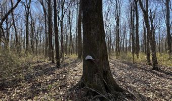 6075 Curtis Rd, Batesville, MS 38606