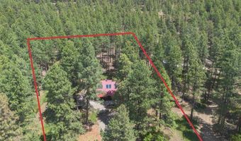 265 Pine Valley Rd, Bayfield, CO 81122