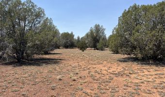 164 Rattlesnake Rd, Ash Fork, AZ 86320