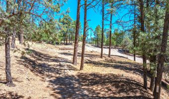 215 Brentwood Dr 2, Alto, NM 88312