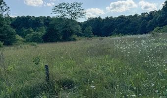 Co Rd 539, Ava, MO 65629