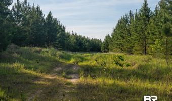 Flowers Road, Bay Minette, AL 36507