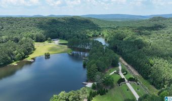 411 DR JENKINS Ln, Altoona, AL 35952
