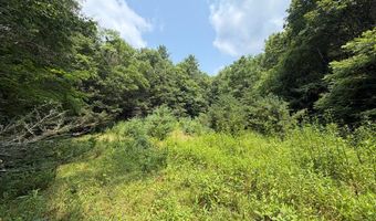 Hall Hollow Road, Austinville, VA 24312