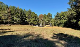 217 281, Banner, MS 38913