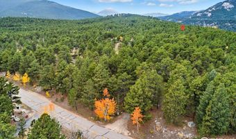 County Road 84 W, Allenspark, CO 80510