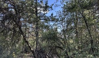 Sandpiper Ln, Beatty, OR 97621