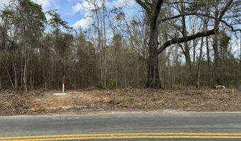 5510 Mauss Hill Rd, Adams Run, SC 29426