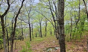 0 Off Langdon Rd, Charlestown, NH 03603