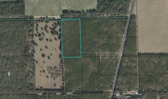 85 Th St, Bell, FL 32619