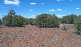 5 County Road 8077, Concho, AZ 85924