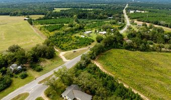 20 Ac State Hwy 95 Columbia Rd, Abbeville, AL 36310