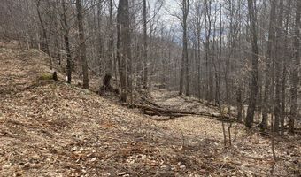 0 TBD Elleber Sods Rd, Bartow, WV 24920