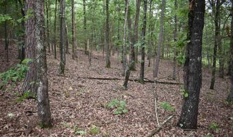 10355 Rodeo Rd, Belleville, AR 72824