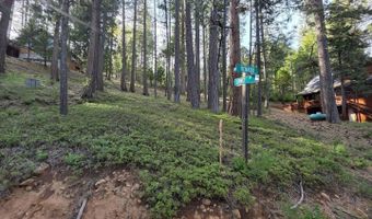 2904 Venado Dr, Arnold, CA 95223