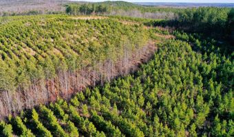 0 Windy Ridge Way, Amherst, VA 24521