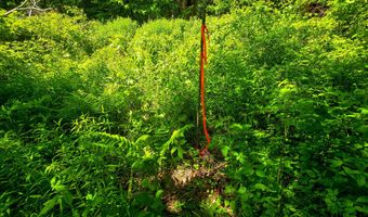 1905 Camp Munn Rd, Bradford, VT 05033