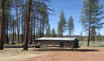 56236 Parazoo Trl, Bly, OR 97622