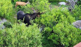 8101 S MILLICENTVIEW Ln, Brighton, UT 84121