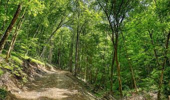 2926 Bryant Ridge Rd, Baxter, TN 38544