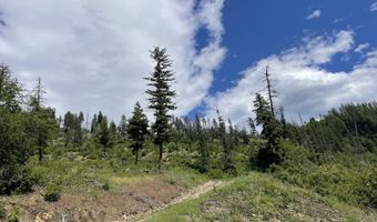 NNA Hwy 200, Clark Fork, ID 83811