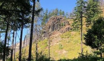 91591 Blue River Reservoir Rd, Blue River, OR 97413