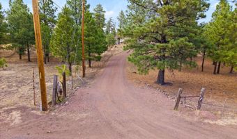 County Road N2144, Alpine, AZ 85920