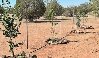 Raz Road lot 102, Ash Fork, AZ 86046