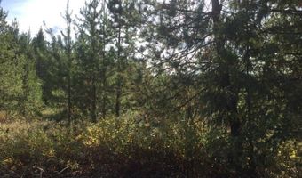 NKA Roberts Ln, Blanchard, ID 83804