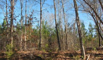 Buckhead Rd, Blair, SC 29015