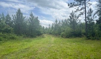0 Salco Rd, Axis, AL 36505
