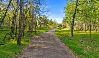 4 4 Ac MOL County Rd Z Lot 1 2, Adams, WI 54457