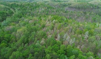 566 A Tunnel Ridge Rd, Argillite, KY 41121
