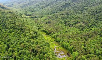 Steve Brown Road, Bean Station, TN 37708