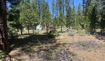 308 County Rd. 198A, Adin, CA 96006