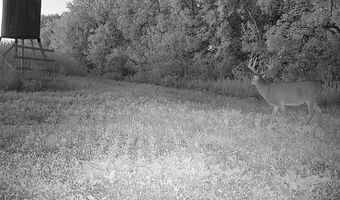 Simons Rd, Alma, WI 54610